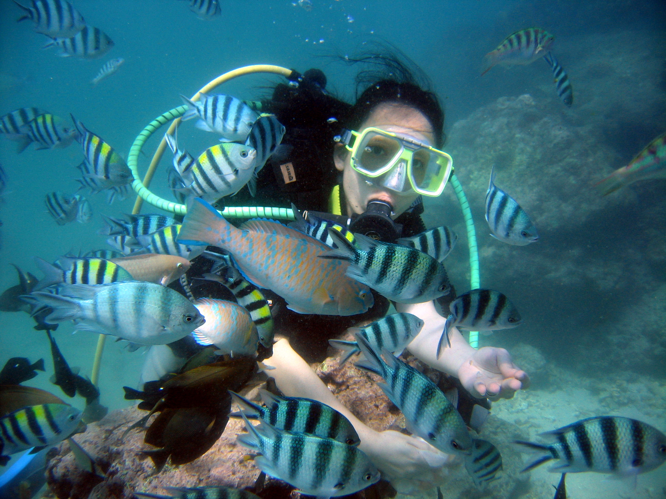 Scuba Diving